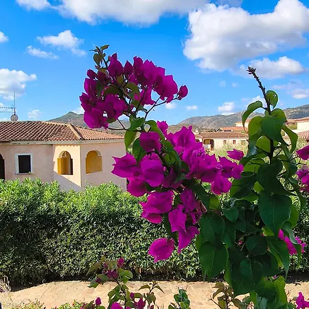 Casa Debili Apartamento