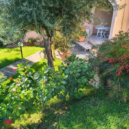 Casa Debili San Teodoro (Sardinia)